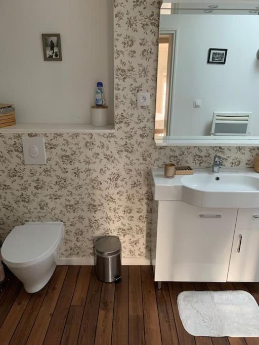 Appartement Duplexcoeur De Ville Metz Ngoại thất bức ảnh